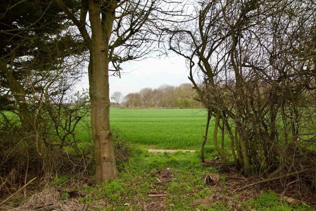 Spacious 5 Bed In The Countryside, Close To Frinton-On-Sea Kirby Cross Dış mekan fotoğraf